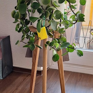 Michele added a photo of their purchase
