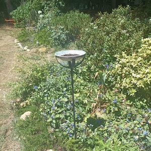 Violette added a photo of their purchase
