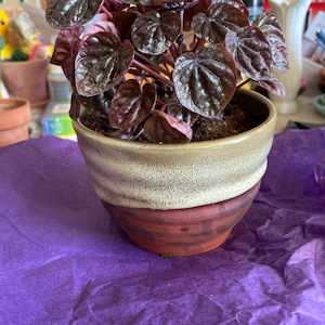 Theresa added a photo of their purchase