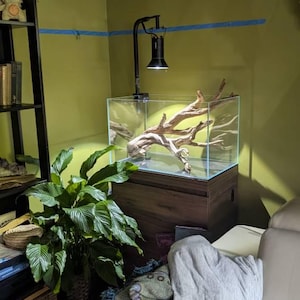 Levi added a photo of their purchase