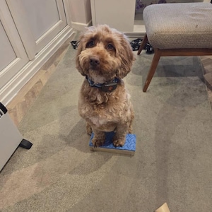 Judith added a photo of their purchase