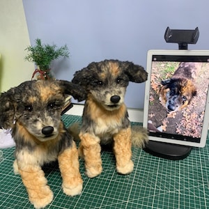 Laryn added a photo of their purchase
