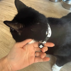Sammy hat ein Foto des gekauften Artikels hinzugefügt