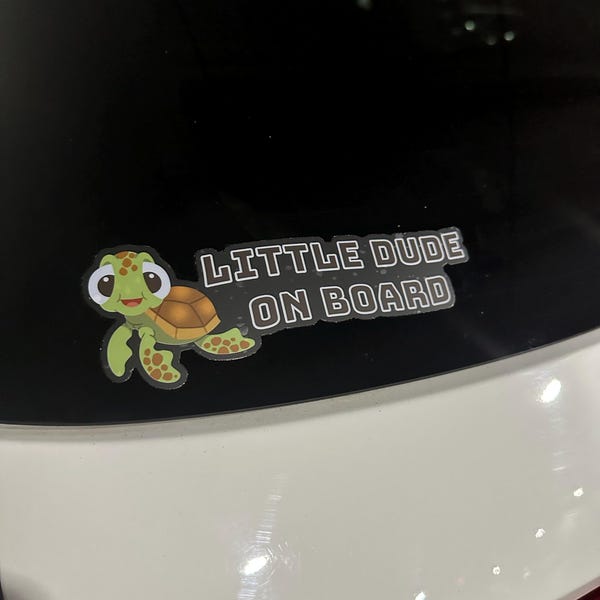 Pascal Peeker Transparent Car Decal/ Rapunzel Sidekick Peekaboo Window ...