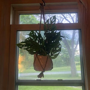 Kira added a photo of their purchase