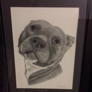Crystal added a photo of their purchase