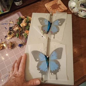 Belen ha añadido una foto de su compra