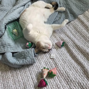Barb ha añadido una foto de su compra
