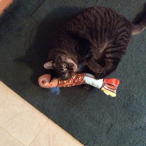 Linda added a photo of their purchase