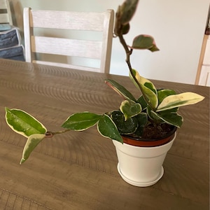Sharon added a photo of their purchase