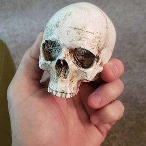 Morgan added a photo of their purchase