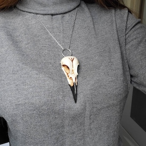 Shelby added a photo of their purchase