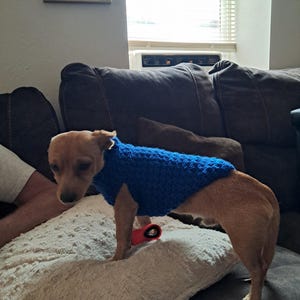 Robin added a photo of their purchase