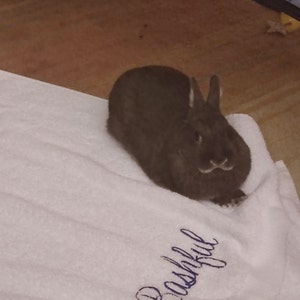 Jenna added a photo of their purchase