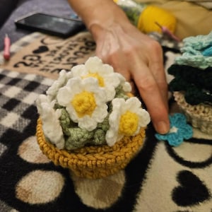 Jen さんが購入した商品の写真を追加しました