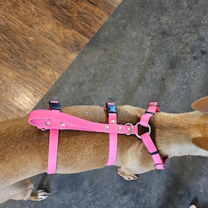 Eileen added a photo of their purchase