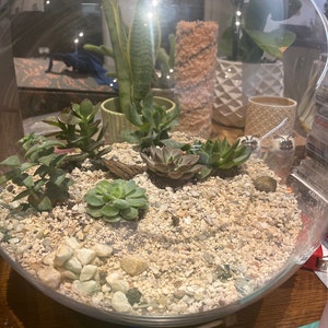 Sarah added a photo of their purchase