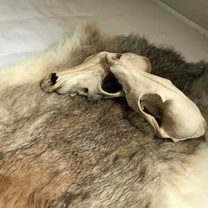 Nikki added a photo of their purchase