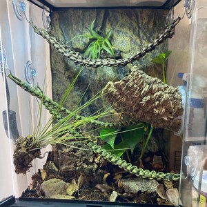 Ren added a photo of their purchase