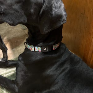 Donavan ha añadido una foto de su compra