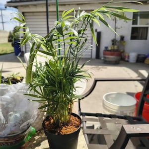 Carol added a photo of their purchase