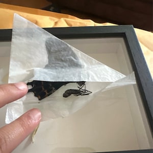 yaya added a photo of their purchase