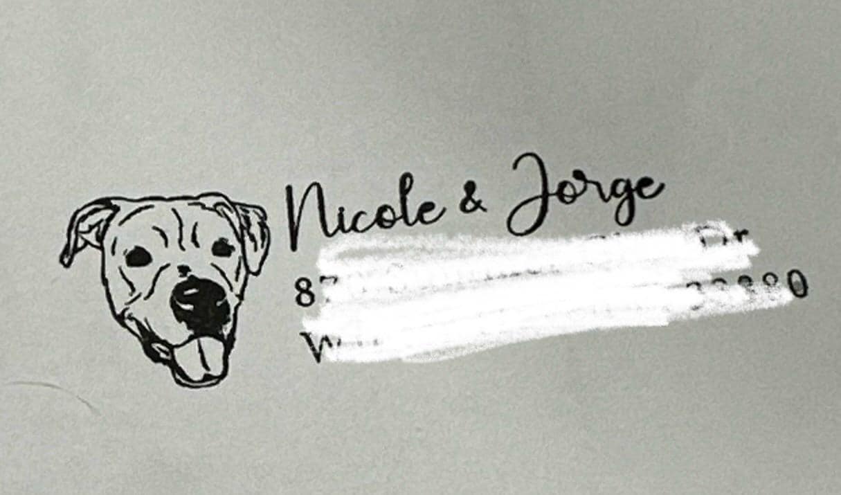 Custom Pet Portrait Address Stamp - Personalized Return Address Stamp for Pet Lovers | Unique Cat & Dog Stamp Gift