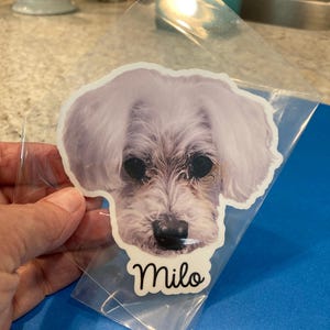 Etsy buyer added a photo of their purchase