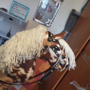 Gaetano added a photo of their purchase