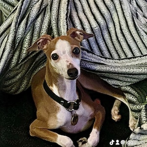 Charlotte added a photo of their purchase