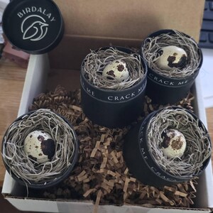 Nancy added a photo of their purchase