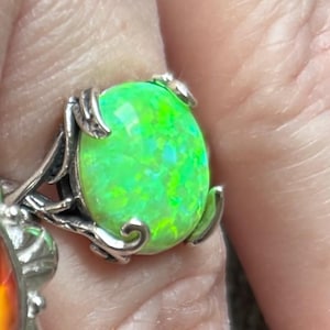 Holly added a photo of their purchase