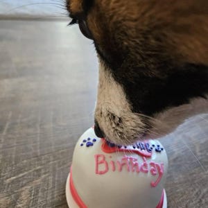 Jennifer added a photo of their purchase
