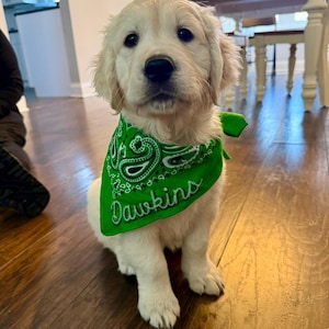 Sasha added a photo of their purchase