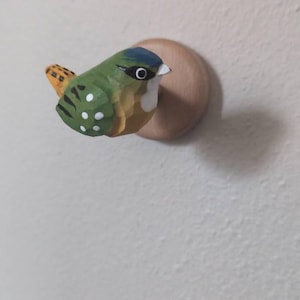 Sheel lade till en bild av sitt köp
