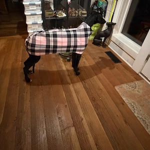 Stephanie added a photo of their purchase