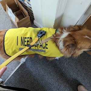 Sarah added a photo of their purchase