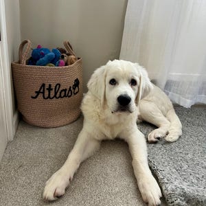 Natasha added a photo of their purchase