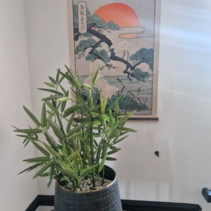 Hayley added a photo of their purchase
