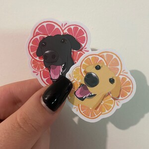 Kirsty added a photo of their purchase