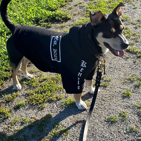 Custom Pet Portrait Hoodie, Personalized Cartoon Dog Sweatshirt