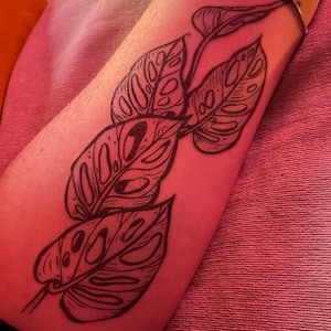 Monstera Adansonii Temporary Tattoo: Realistic Black Ink, Swiss Cheese  Vine, Botanical Illustration - Etsy Finland