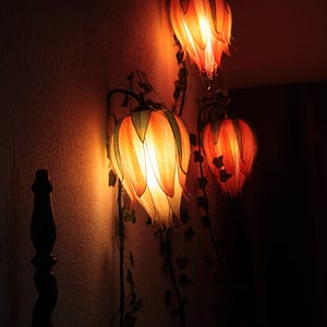 AliceInWonderland さんが購入した商品の写真を追加しました