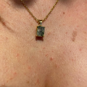 molly added a photo of their purchase