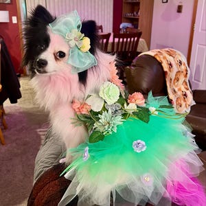 Gabrielle added a photo of their purchase