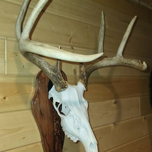 Dawn added a photo of their purchase