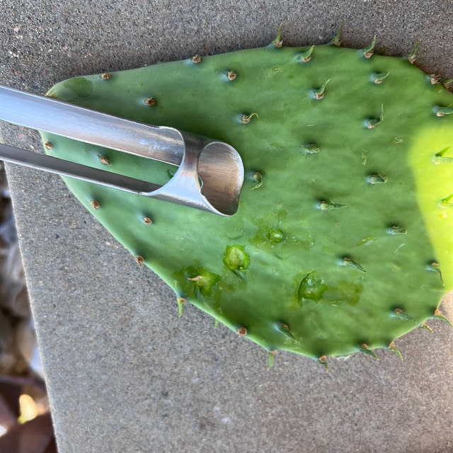 Cactus Peeler (Pelador de Nopales)