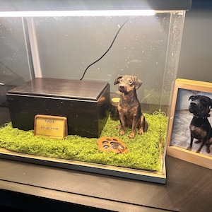 Jessie added a photo of their purchase