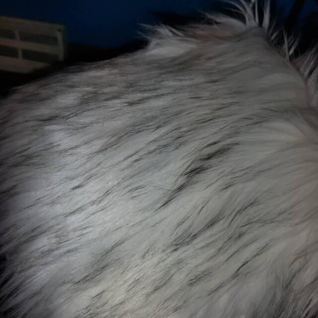 CRS Fur Fabrics Tessuto di Pelliccia Sintetica Super Lussuoso, a Pelo Lungo, 1 m, Colore: Vaniglia, Poliestere, Naturale, 1Mtr 150cm x 100cm