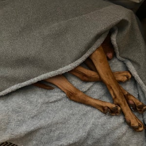 Pewter Grey Tweed Doggy Den Bed - Etsy UK